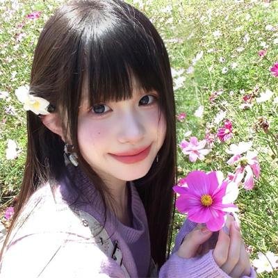荒岛魔咒封面